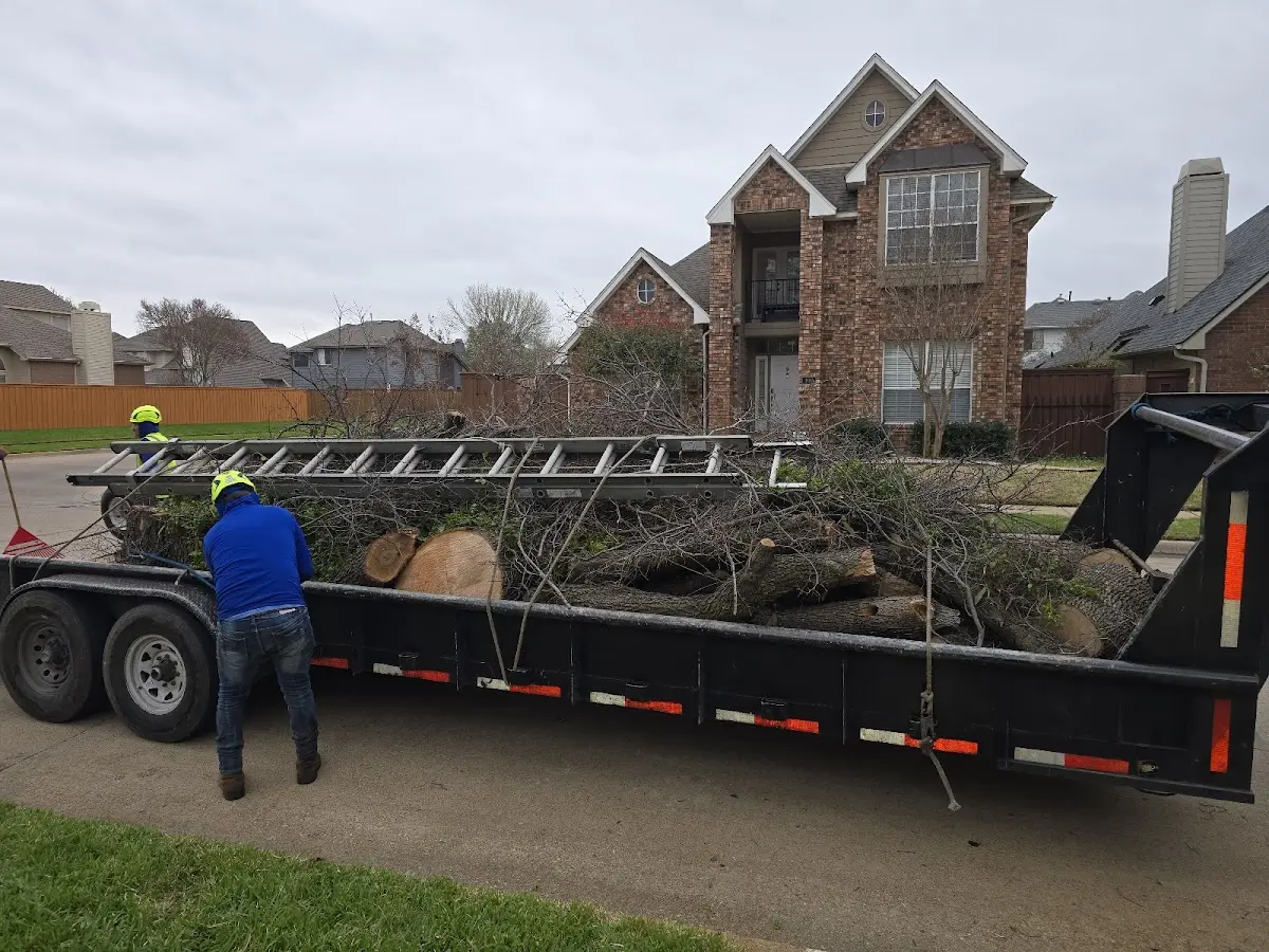 Expert Tree Fertilization with proper safety equipment in Lewisport
